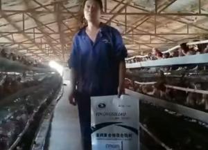 原保軍在河南安陽(yáng)為益農(nóng)蛋雞預(yù)混料代言！